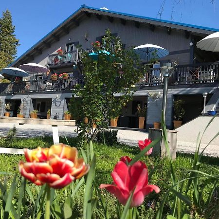 L'Alpen Roc Bed & Breakfast Caille Екстериор снимка